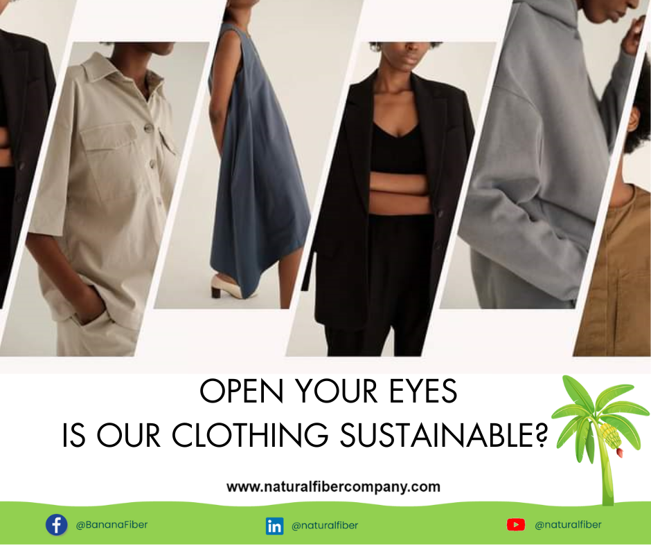 Banana Fibers: The Green Solution to Fast Fashion’s Environmental Crisis