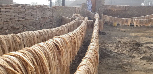 From Plant to Product: The Journey of Banana Fiber in Textiles