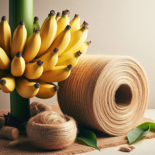 5 Facts About Banana Fiber: The Ultimate Material for Skin and Environmental Friendliness